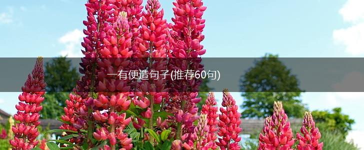 一有便造句子(推荐60句),第1张