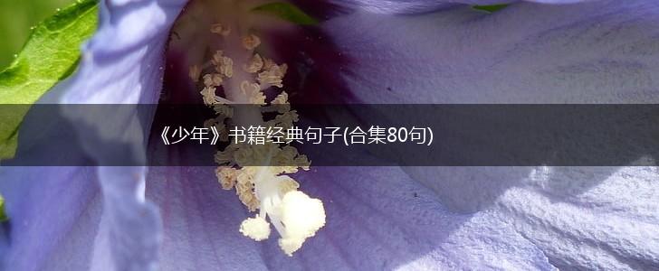 《少年》书籍经典句子(合集80句),第1张
