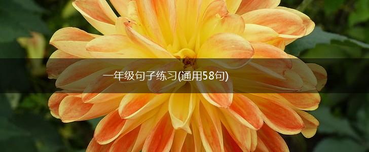 一年级句子练习(通用58句),第1张