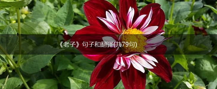《老子》句子和翻译(共79句),第1张