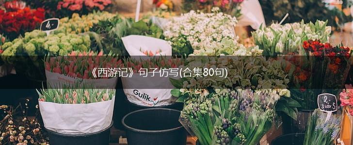 《西游记》句子仿写(合集80句),第1张