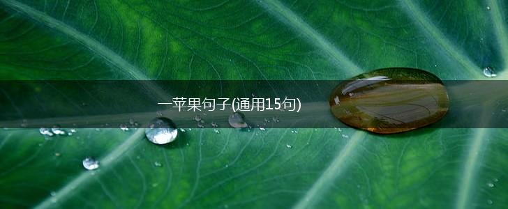 一苹果句子(通用15句),第1张