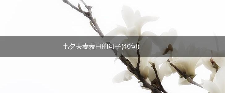 七夕夫妻表白的句子(40句),第1张