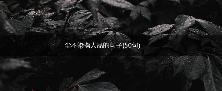 一尘不染指人品的句子(50句),第1张