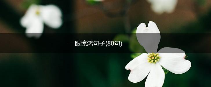 一眼惊鸿句子(80句),第1张