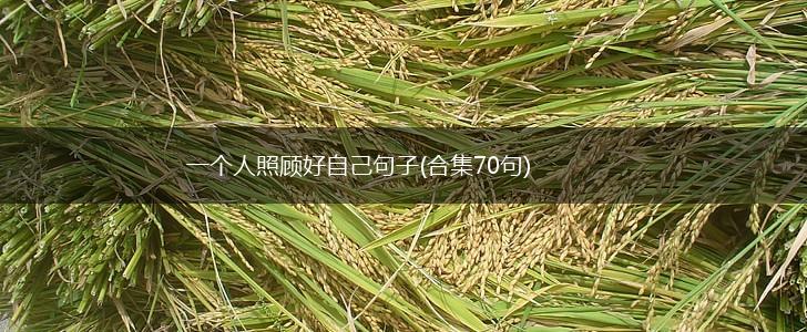 一个人照顾好自己句子(合集70句),第1张