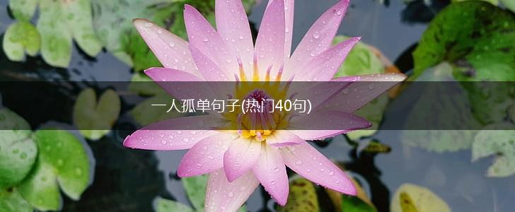 一人孤单句子(热门40句),第1张