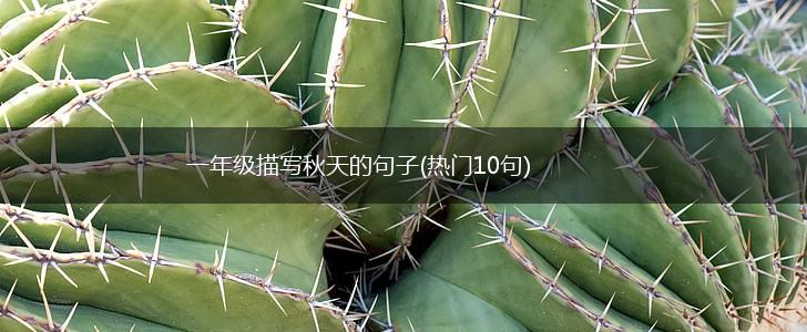 一年级描写秋天的句子(热门10句),第1张