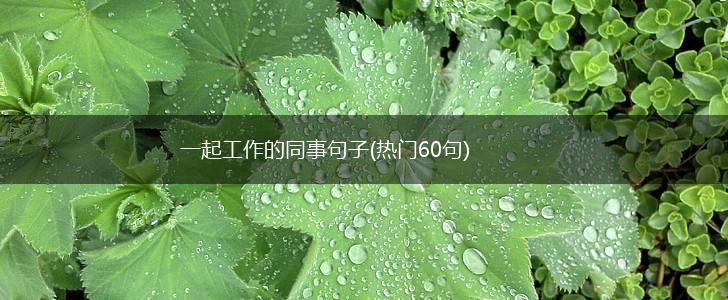 一起工作的同事句子(热门60句),第1张