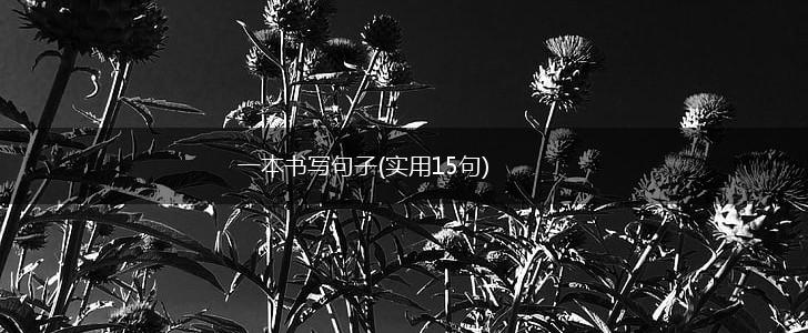 一本书写句子(实用15句),第1张