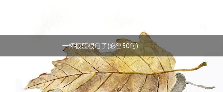 一杯板蓝根句子(必备50句),第1张