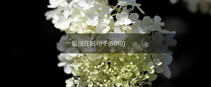 一般现在时句子(60句),第1张
