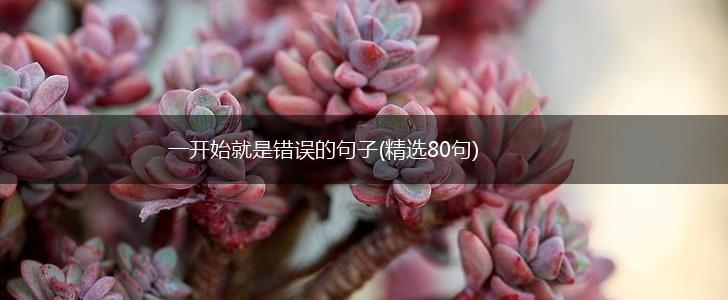一开始就是错误的句子(精选80句),第1张