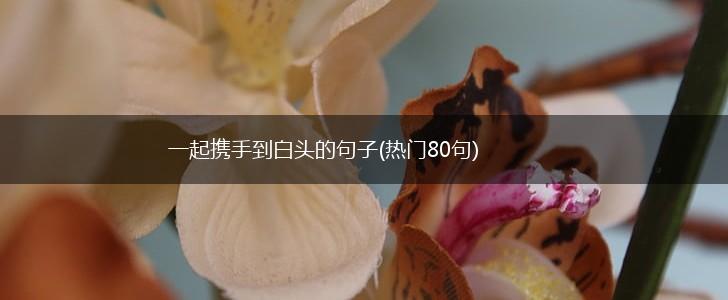 一起携手到白头的句子(热门80句),第1张