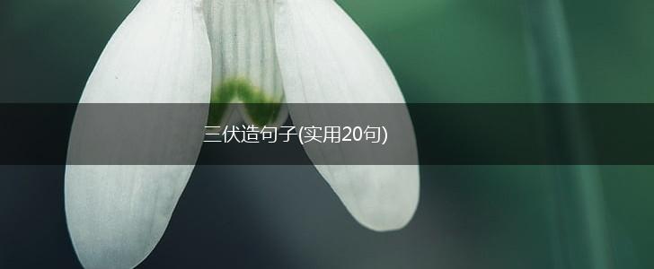三伏造句子(实用20句),第1张