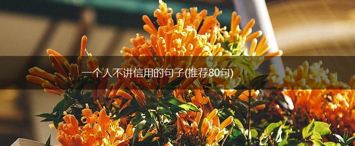 一个人不讲信用的句子(推荐80句),第1张