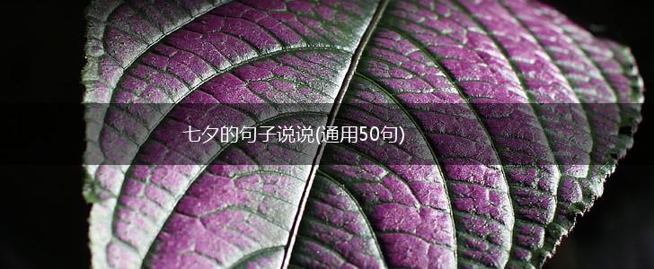 七夕的句子说说(通用50句),第1张