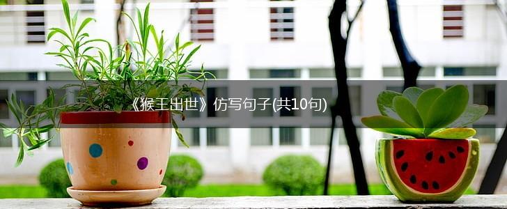 《猴王出世》仿写句子(共10句),第1张