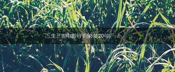 三生三世电影句子(必备20句),第1张