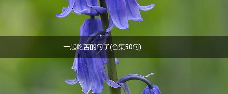 一起吃苦的句子(合集50句),第1张