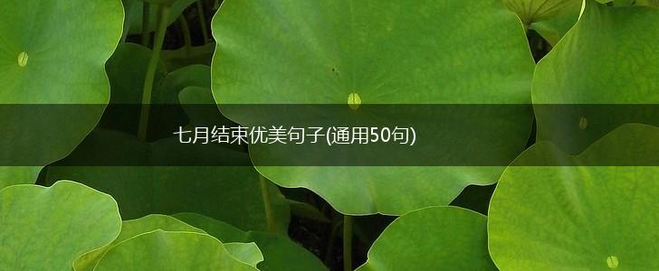 七月结束优美句子(通用50句),第1张