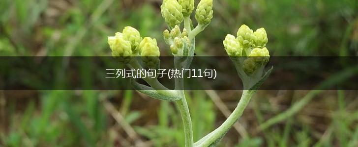 三列式的句子(热门11句),第1张