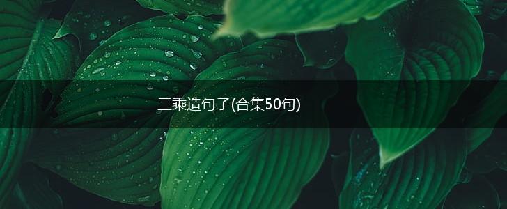 三乘造句子(合集50句),第1张
