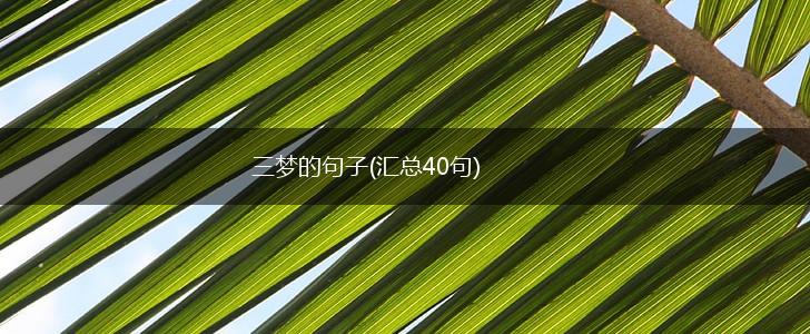 三梦的句子(汇总40句),第1张