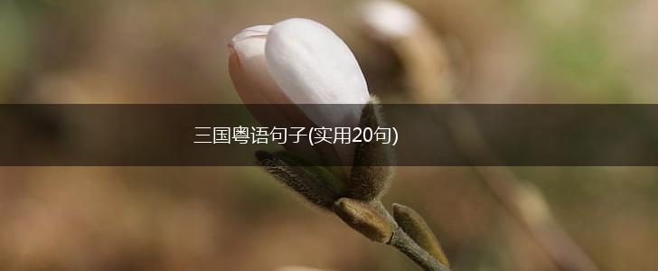 三国粤语句子(实用20句),第1张