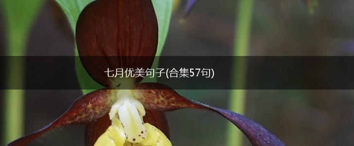 七月优美句子(合集57句),第1张
