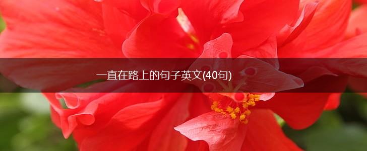 一直在路上的句子英文(40句),第1张
