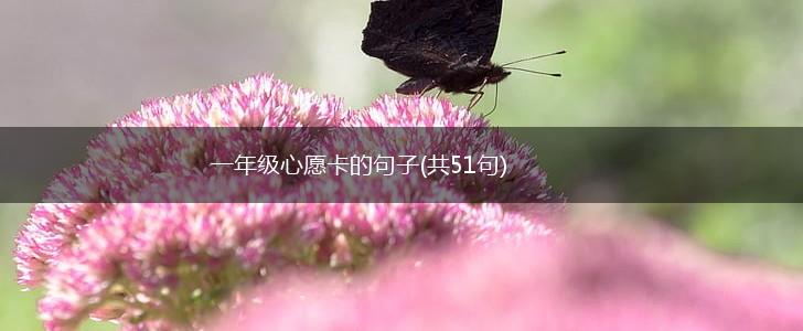 一年级心愿卡的句子(共51句),第1张