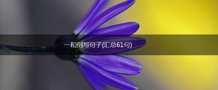 一和倒写句子(汇总61句),第1张