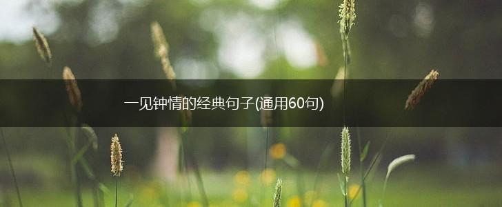 一见钟情的经典句子(通用60句),第1张