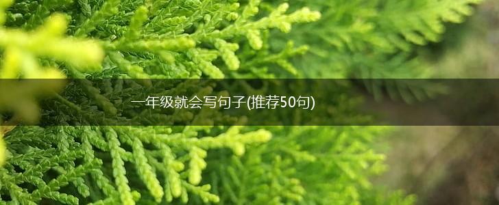 一年级就会写句子(推荐50句),第1张