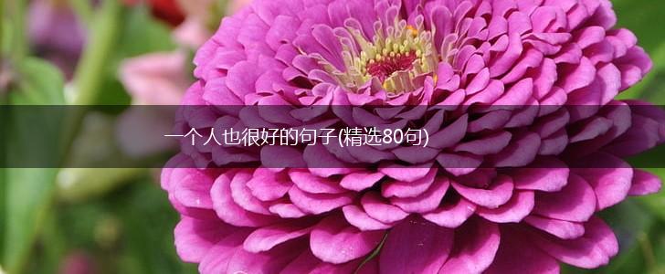 一个人也很好的句子(精选80句),第1张