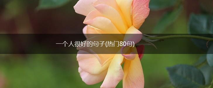 一个人很好的句子(热门80句),第1张