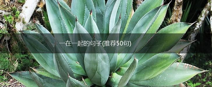 一在一起的句子(推荐50句),第1张