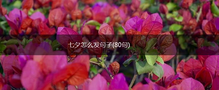 七夕怎么发句子(80句),第1张