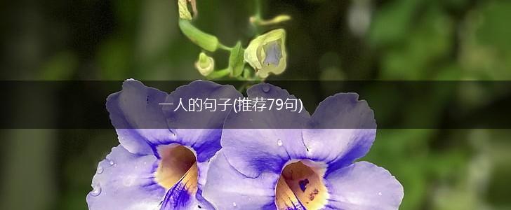 一人的句子(推荐79句),第1张