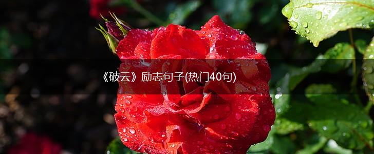 《破云》励志句子(热门40句),第1张
