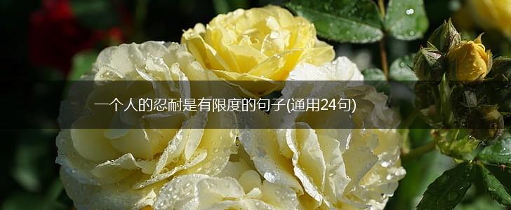 一个人的忍耐是有限度的句子(通用24句),第1张