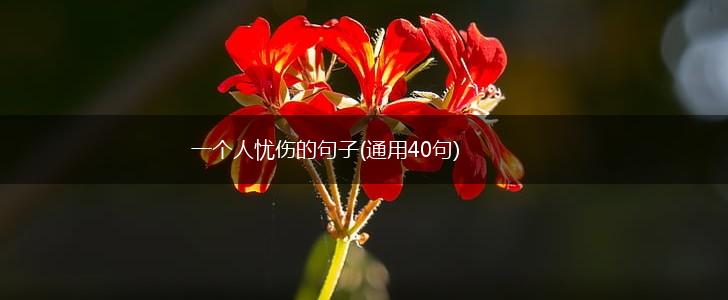 一个人忧伤的句子(通用40句),第1张
