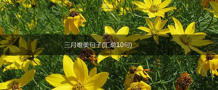 三月唯美句子(汇总10句),第1张
