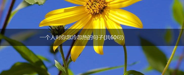 一个人对你忽冷忽热的句子(共60句),第1张