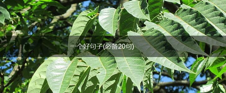 一个好句子(必备20句),第1张
