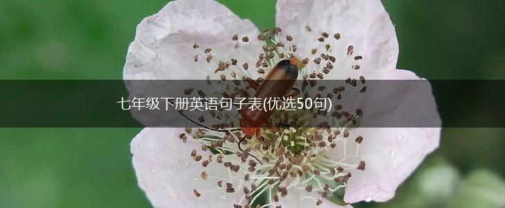 七年级下册英语句子表(优选50句),第1张