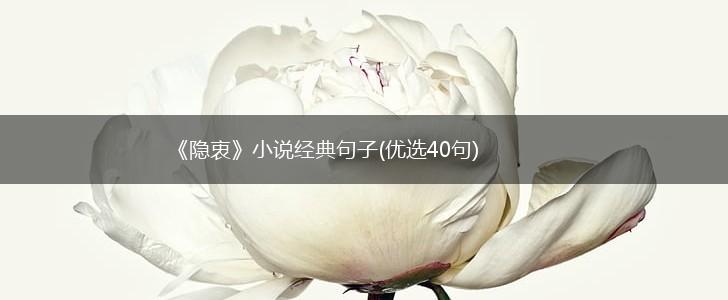 《隐衷》小说经典句子(优选40句),第1张