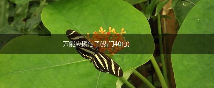 万能应援句子(热门40句),第1张