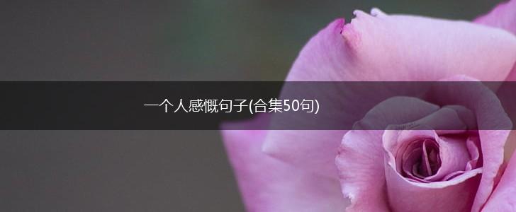一个人感慨句子(合集50句),第1张